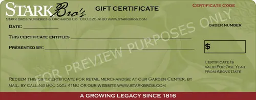 Gift Certificate 2 Gift Certificate - Image 2