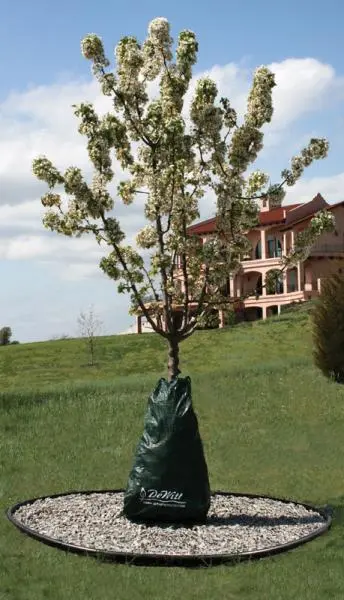 DeWitt Dew Right Drip Irrigation Bag 1 DeWitt Dew Right Drip Irrigation Bag