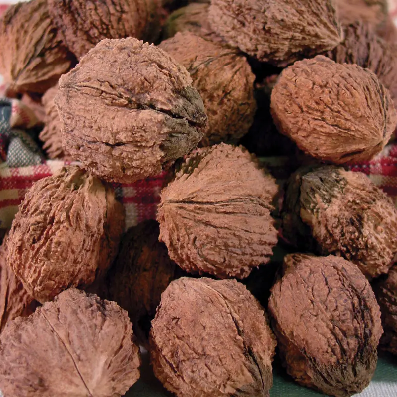 Stark® Kwik-Krop® Walnut 1 Stark® Kwik-Krop® Walnut