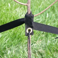 DeWitt Tree Stake Kit 6 DeWitt Tree Stake Kit -Trees & Plants Shop 2691 960x960 1