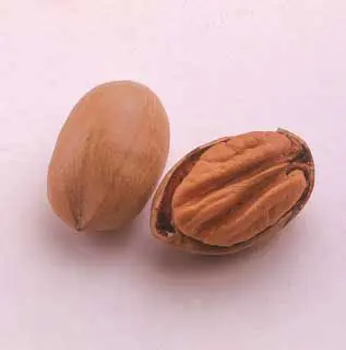 Colby Pecan 2 Colby Pecan - Image 2