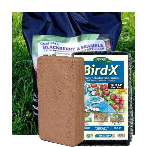 Blackberry Plant Success Kit 1 Blackberry Plant Success Kit