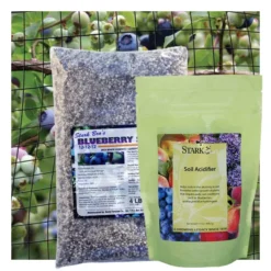 Blueberry Plant Success Kit