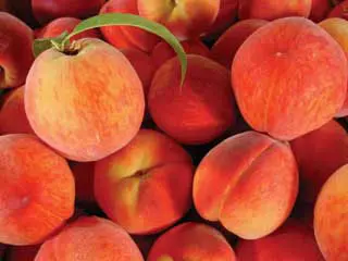 Garnet Beauty Peach 1 Garnet Beauty Peach