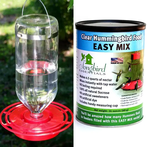 Hummingbird Feeder Collection 1 Hummingbird Feeder Collection