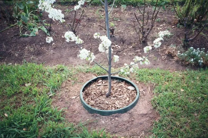 GreenWell™ Water Saver 3 GreenWell™ Water Saver - Image 3