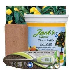 Citrus Tree Success Kit