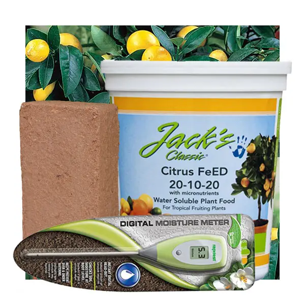 Citrus Tree Success Kit 1 Citrus Tree Success Kit