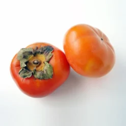Jiro Asian Persimmon