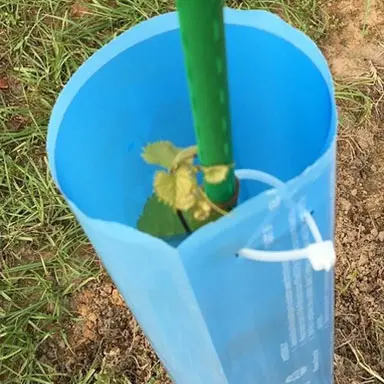 Blue-X® Vine Grow Tube 2 Blue-X® Vine Grow Tube - Image 2