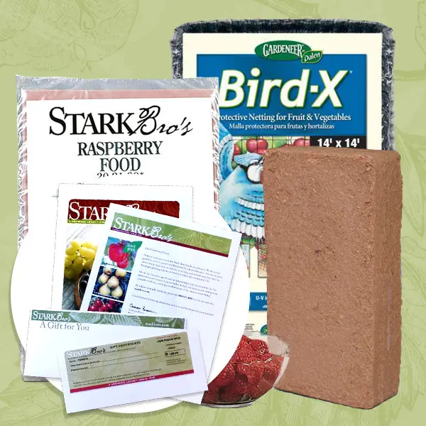 Raspberry Plant Success Kit Gift Certificate Collection 1 Raspberry Plant Success Kit Gift Certificate Collection