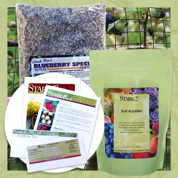 Blueberry Plant Success Kit Gift Certificate Collection 1 Blueberry Plant Success Kit Gift Certificate Collection