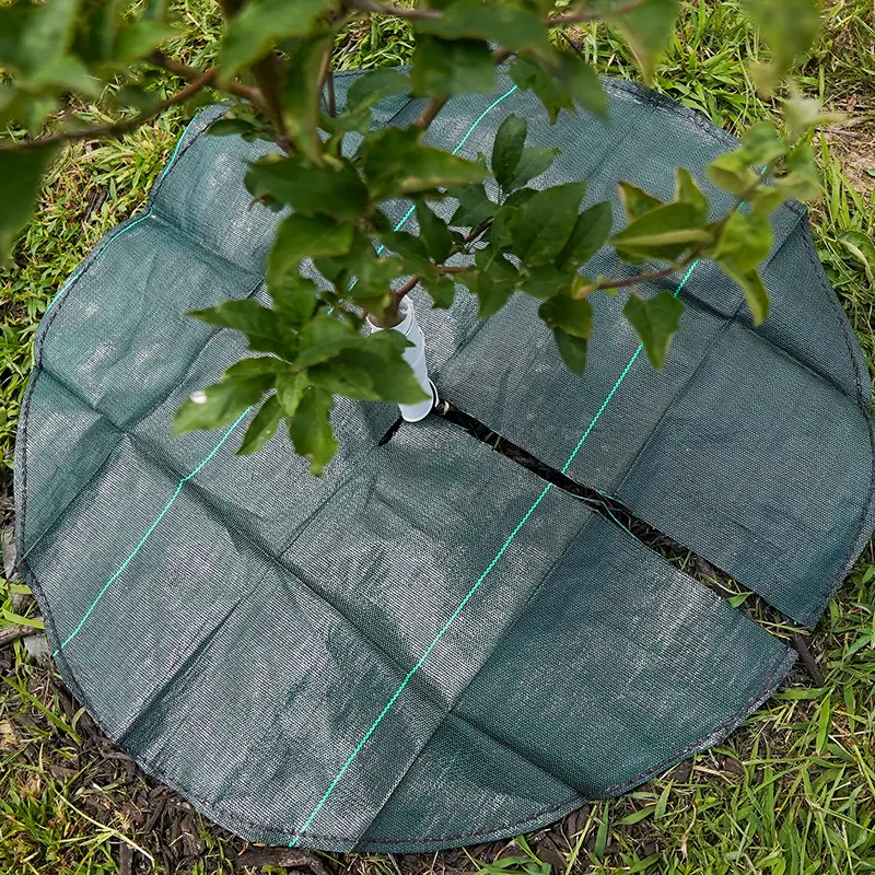 Dewitt Tree Mat Circle 1 Dewitt Tree Mat Circle