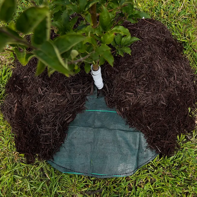 Dewitt Tree Mat Circle 2 Dewitt Tree Mat Circle - Image 2