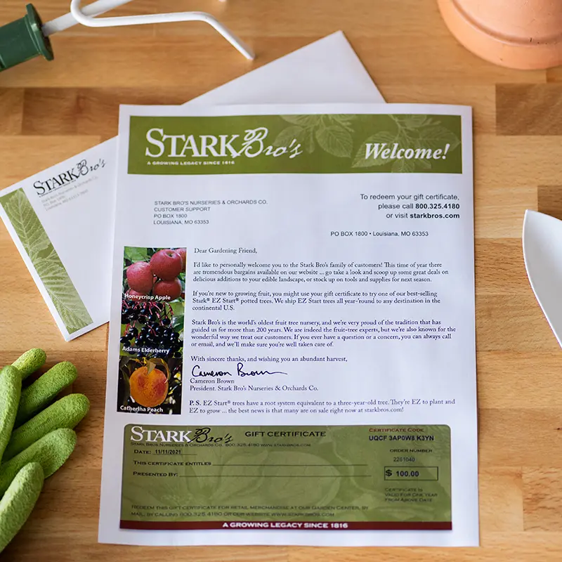 Gift Certificate 1 Gift Certificate