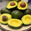 Choquette Avocado